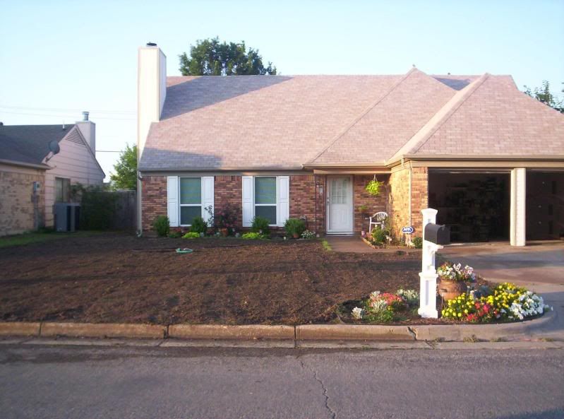 Zenith Zoysia seeded-Day 1